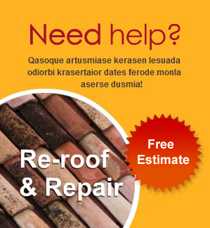 Roof Repairs & Maintenance Vancouver, Roof Repairs Cost